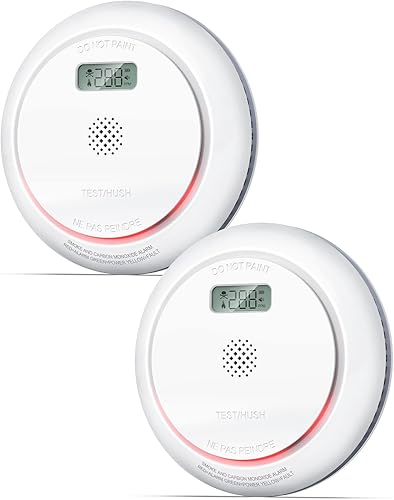 Ecoey Detector de humo combinado de monóxido de carbono, funciona con pilas, detector de humo y monóxido de carbono con pantalla LCD y función de