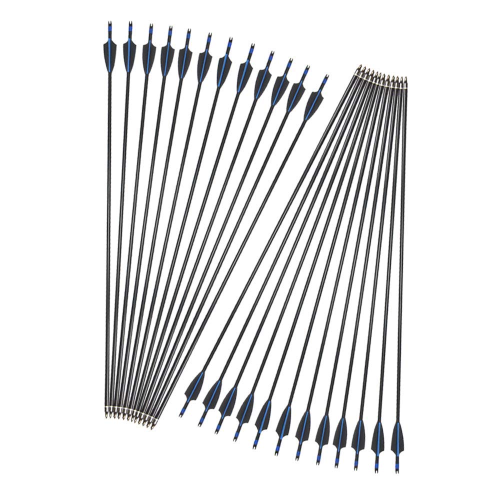 Flèches Tir à L’arc Fibre De Verre 30″ – Pour Arc Recourbé – Embouts Bulle – Lot De 6
