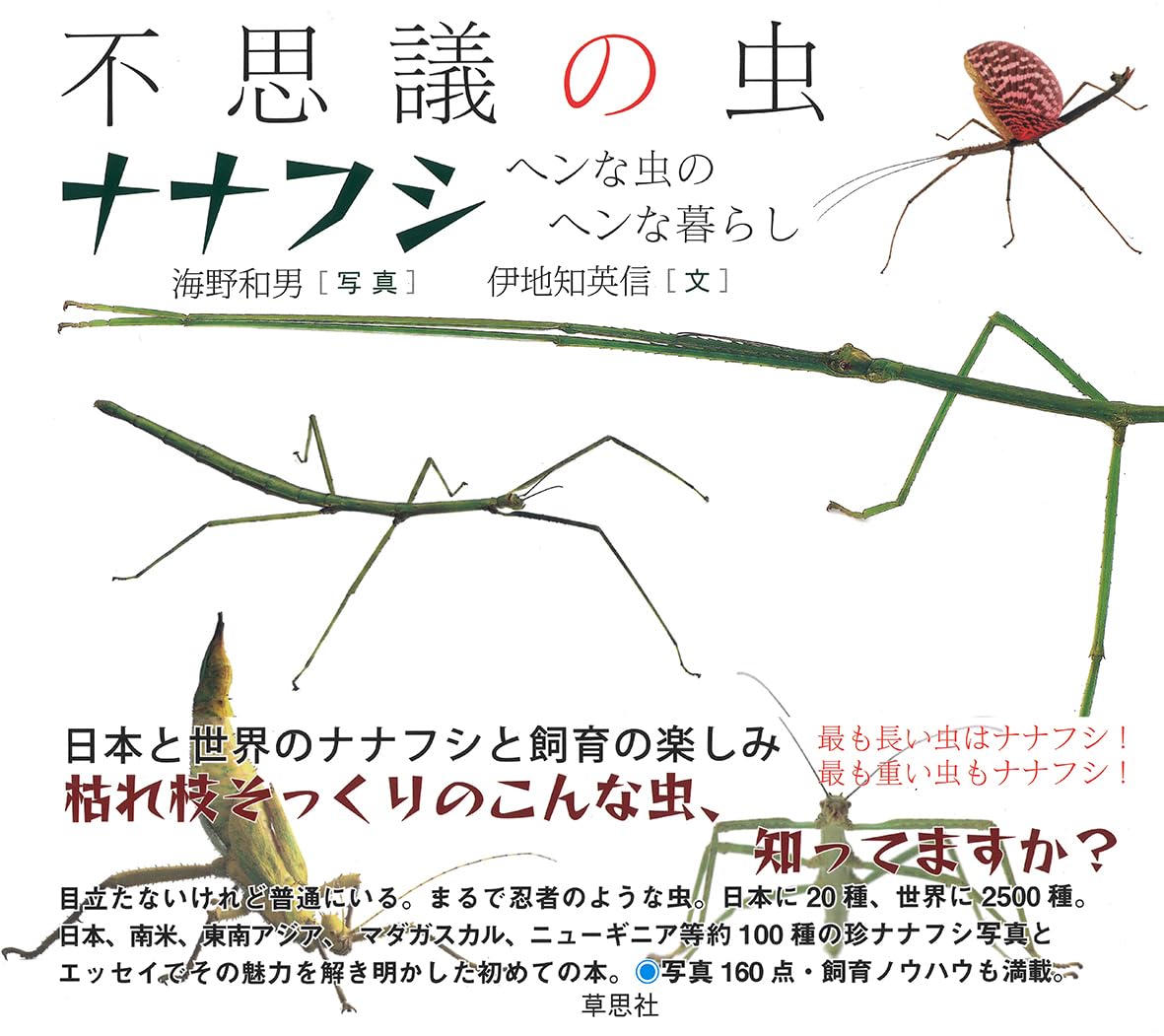 不思議の虫ナナフシ: ヘンな虫のヘンな暮らし | 海野 和男, 伊地知