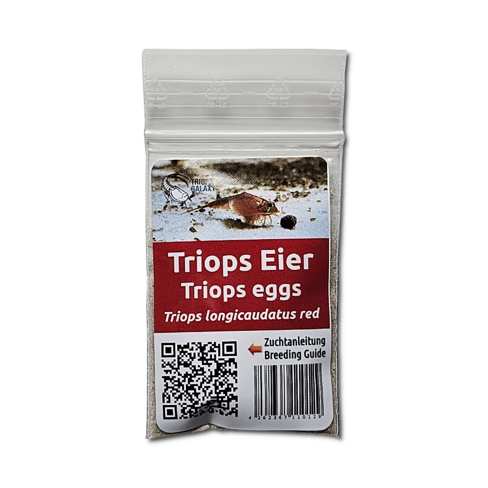 Triops longicaudatus rouge - Cancer préhistorique - Élevage de triops - Oeufs Triops avec instructions de l'élevage en français à télécharger (minin 150 oeufs)
