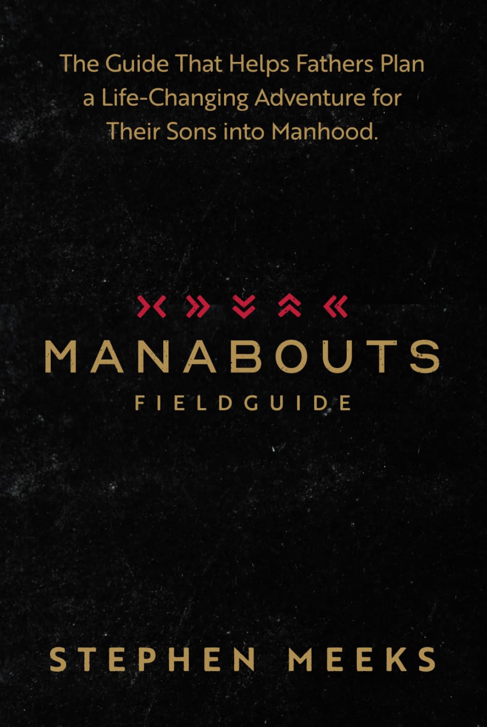 Manabouts Field Guide: The Guide that Helps Fathers Plan a Life-Changing Adventure for their Sons into Manhood (Save the Boys Bundle)