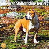 2022 American Staffordshire Bull Terriers Monthly Wall Calendar by Bright Day, 12 x 12 Inch, Cute...