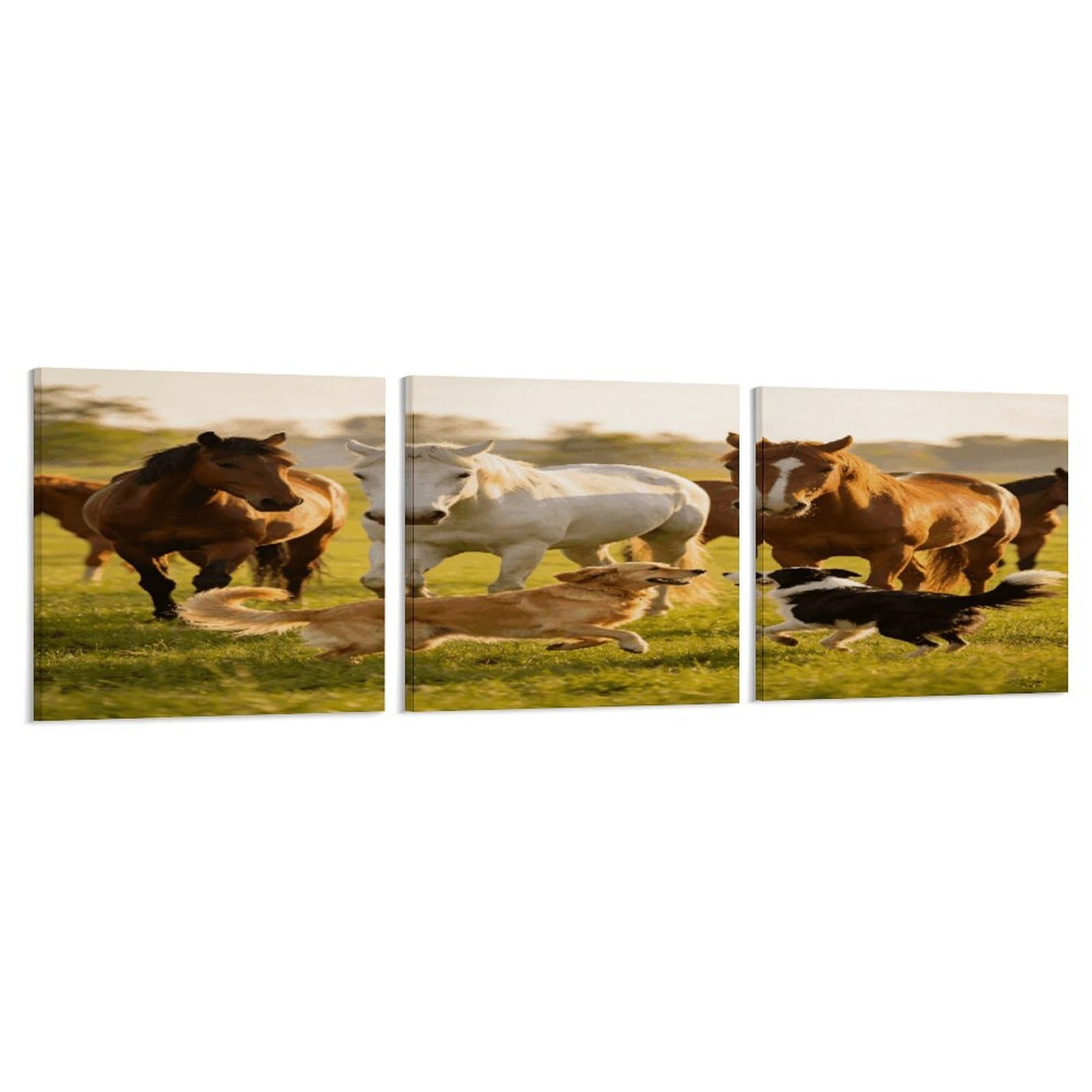 Khauerbc Style Set Of 3 Horses And Dogs Wall Art，Paintings Artwork For Living Room, Hallway, Bedroom, Office Wall Decor For Living Room, Hallway, Bedroom, Office Paintings Artwork 8X8 Inch
