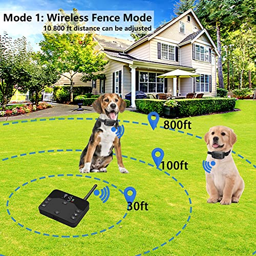 Adjustable and Durable Waterproof Dog Collar