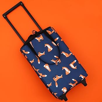 Amazon｜[LSDZW] ショッピングカート キャリーバッグ 2輪 キャリー