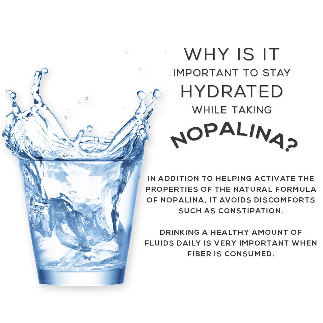 Nopalina Flax Seed Fiber 120 Capsules Buy Online in UAE at desertcart