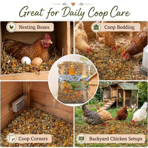 Image of MAQIHAN 20oz Chicken Nesting Herbs - Dried Poultry Herbs for Coop Boxes | Natural Bedding Decor for Hens, Ducks, Laying Areas, Box Pads, Habitat Refresher, Winter Supplies, Vacuum Packed