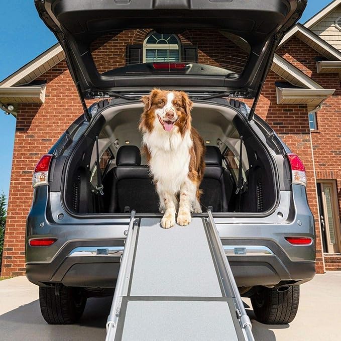 Best Telescopic Pet Ramp