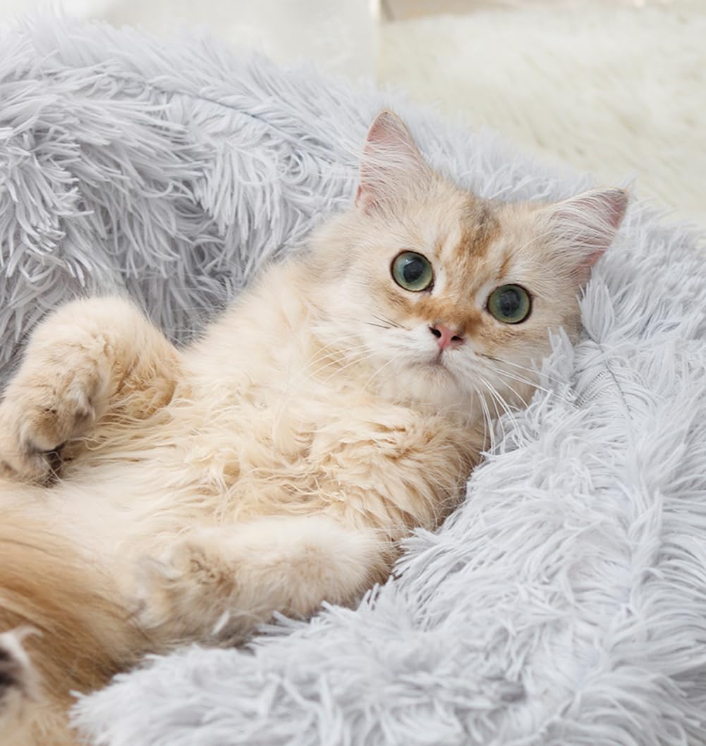 Yuly Panier Chat, Panier pour Chien, Semi-fermé, Coussin Apaisant pour Chats, Lit Moelleux en Peluche pour Animaux, Canapé, Lavable et Anti-anxiété, Antidérapant (Café)