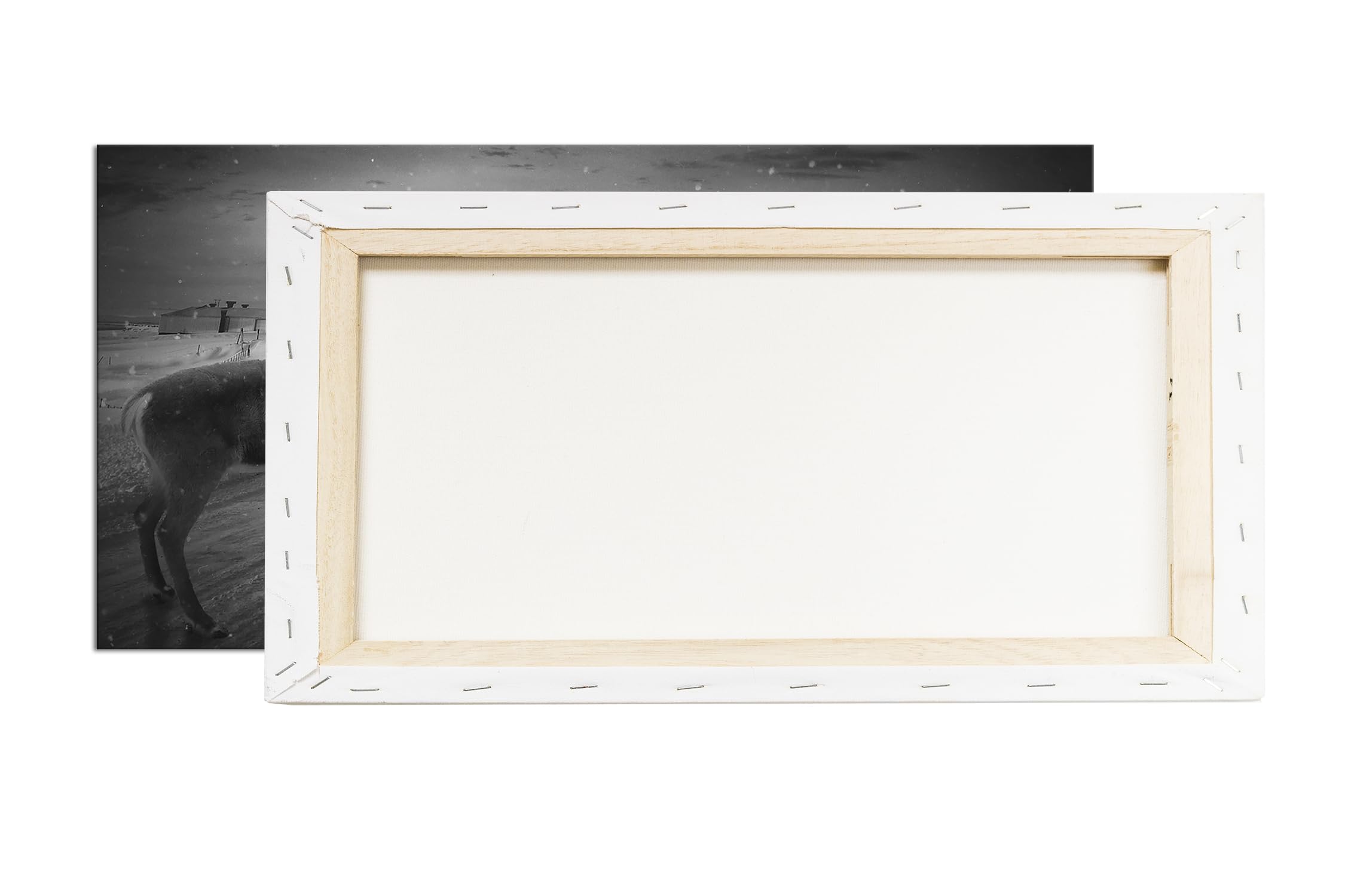 Viaje de invierno con un reno panorámico, 100 x 50 cm, efecto: negro/blanco como lienzo, diseño enmarcado sobre marco de madera auténtica, impresión digital de alta calidad con marco