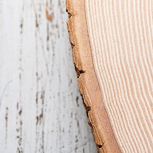 Casa Vivente Fetta di Tronco d'Albero con