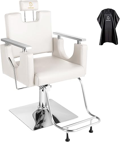 LUXMARS Silla de peluquería hidráulica silla de estilista reclinable silla giratoria de peluquería giratoria de 360 grados para peluquería equipo de