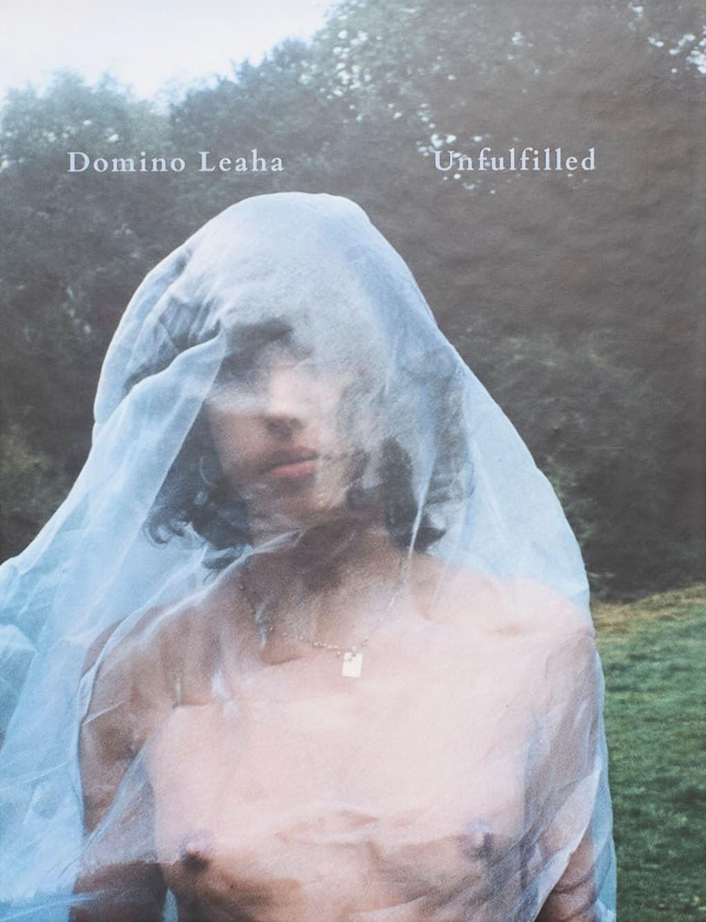 Unfulfilled by Domino Leaha - 9781963814217