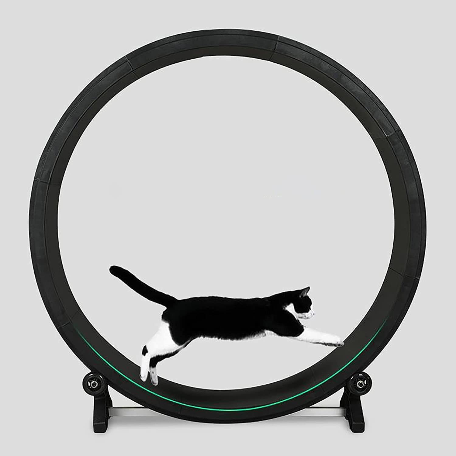 Rueda de ejercicio para gatos para tu gato de interior – Máquina de correr silenciosa para gatos – El mejor juguete para gatos pequeños y medianos – Juguete deportivo para gatos de fitness para gatos
