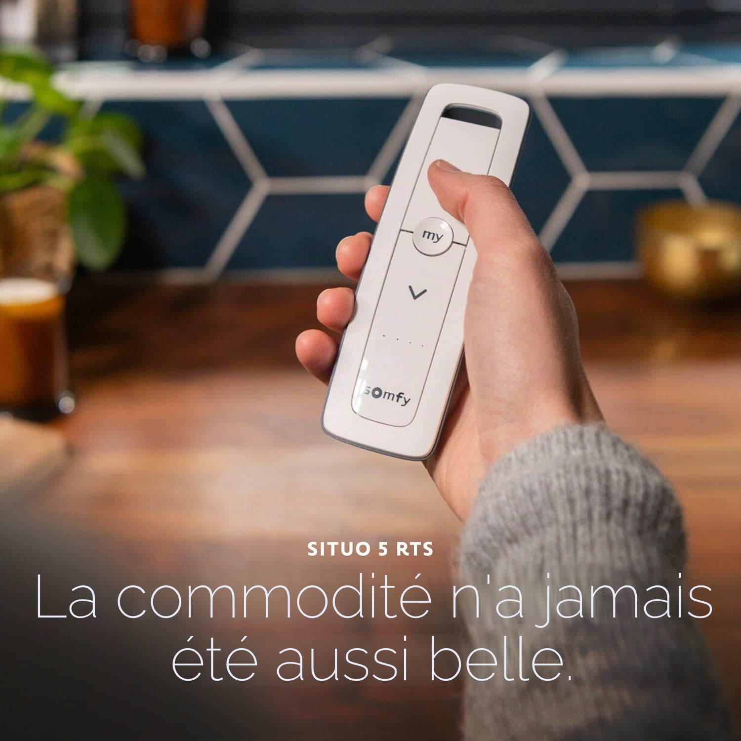 Somfy Situo 5 Pure Télécommande RTS pour jusqu'à 5 stores motorisés ou groupes – Compatible avec moteurs RTS, stores, stores – Non compatible avec Zigbee, Z-Wave, Wi-Fi – Warm Pure Tone 1870575
