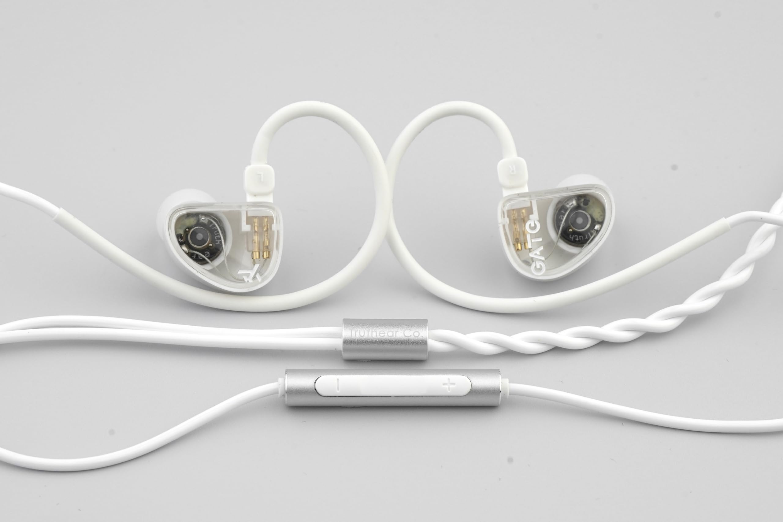 FIDUE A85 Virgo (2BA&1ダイナミック)高級イヤホン Amazon.co.jp: Fanmusic TRUTHEAR GATE 0.78 2ピンケーブル付きコスト