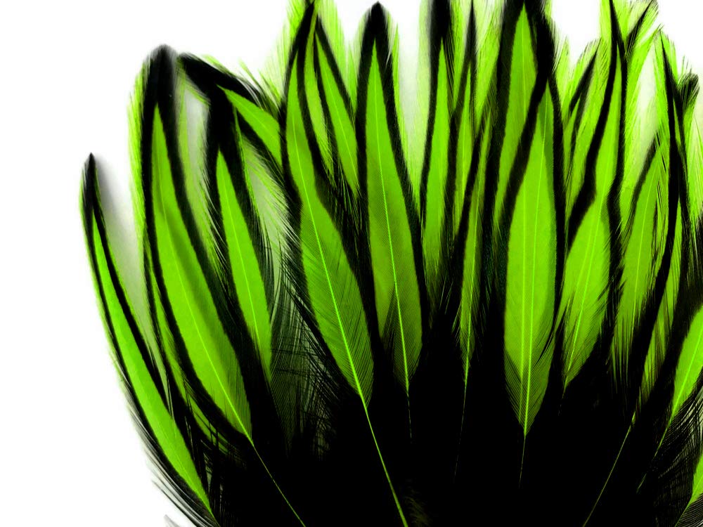 10 Pcs Peacock Bleached Feathers (30''- 35