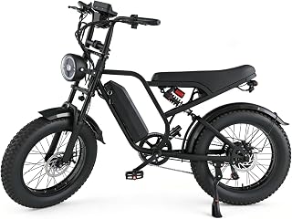 Electric Bike for Adults