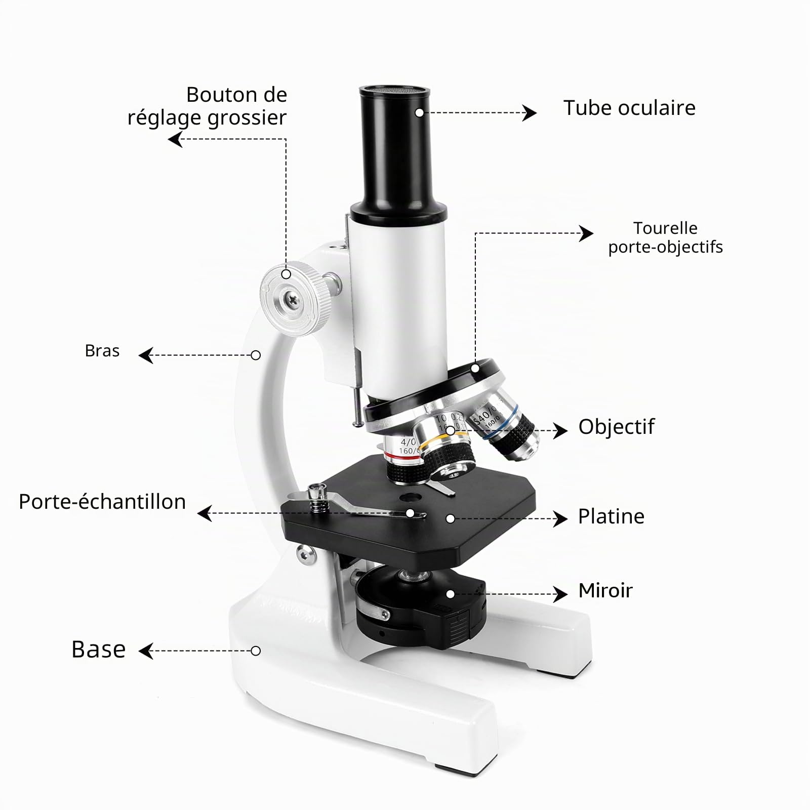 Microscope pour étudiants adultes 40-2000x Microscope avec 10x | Microscope avec oculaires 25x, lentilles d'objectif 4x10x40x et une loupe 2x, microscopes pour adultes