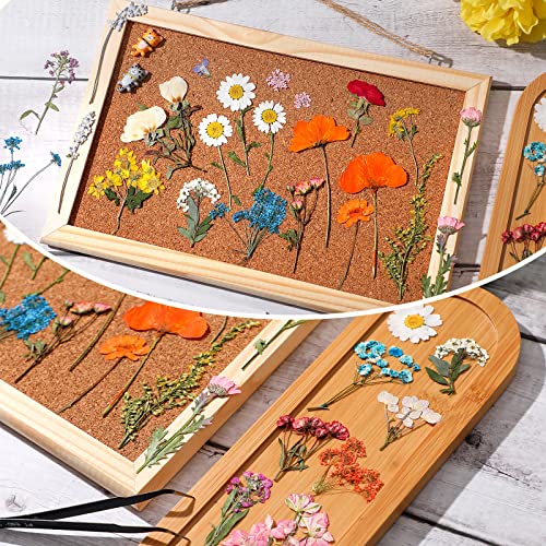 image for Nuanchu Pressed Flowers Resin Flowers for Resin Mold, Real Daisy Dried