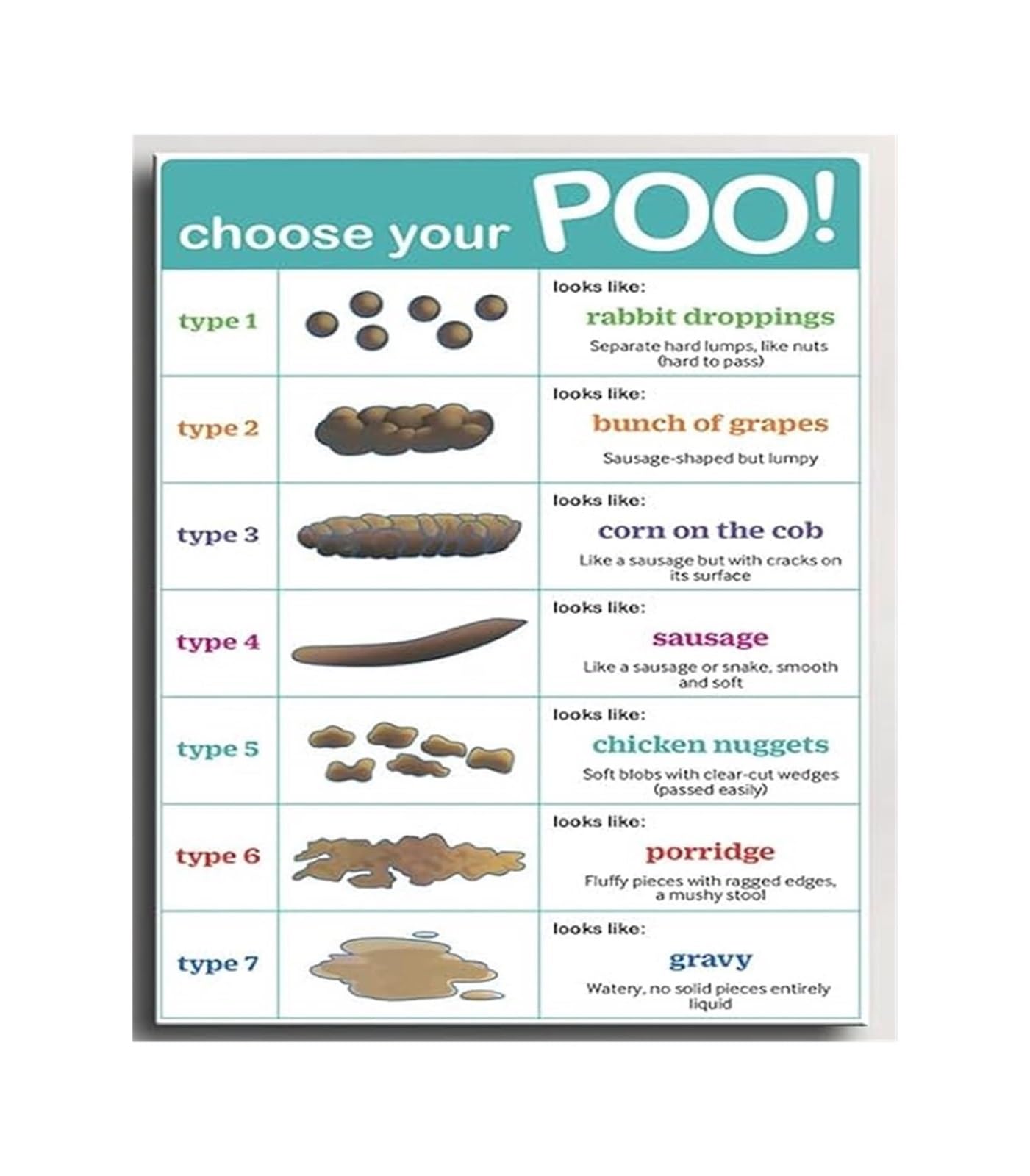 FNYUVNFAF Poop Chart Bristol Stool Scale Poster Stool Type Guide Digestive Health Wall-Art Decor For Doctor Clinic