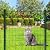 Black PVC Coated Welded Wire Mesh Garden Economy Fence 36 Inch x 25 Foot-3 Inch x 2 Inch 16GA