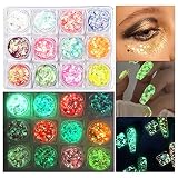 Pinsheng Purpurinas Polvo 12 Colores Paillettes Brillos Chunky Cosméticos Iridiscente Glitter Para Uñas, Sombra de Ojos, Festival Purpurina, Cara Maquillaje, Pelo, Manualidades Brillante Decoración