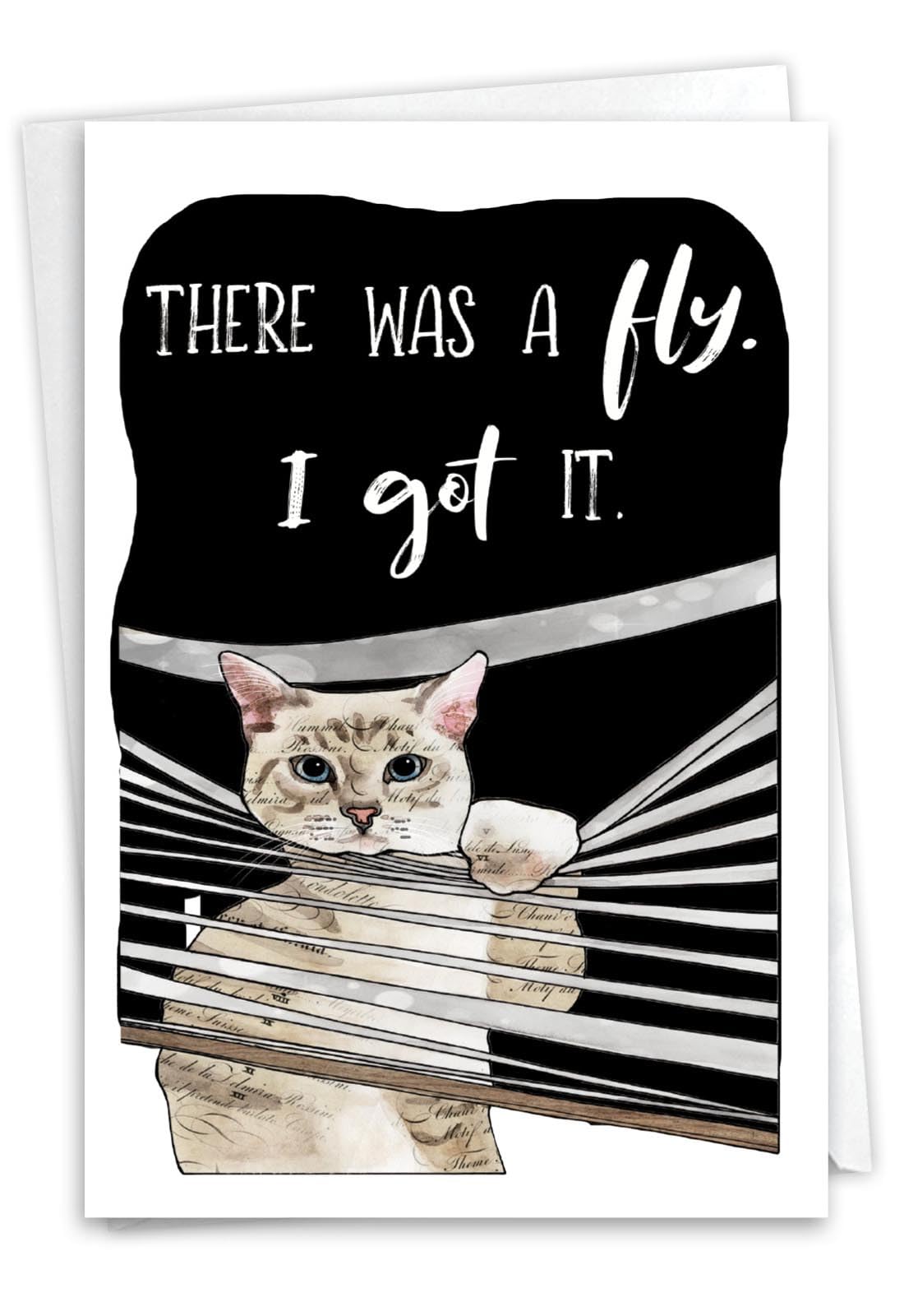 NobleWorks, Birthday Greeting Card with 5 x 7 Inch Envelope (1 Card) Bday Cat Antics - Fly C3638HBDG — image 1
