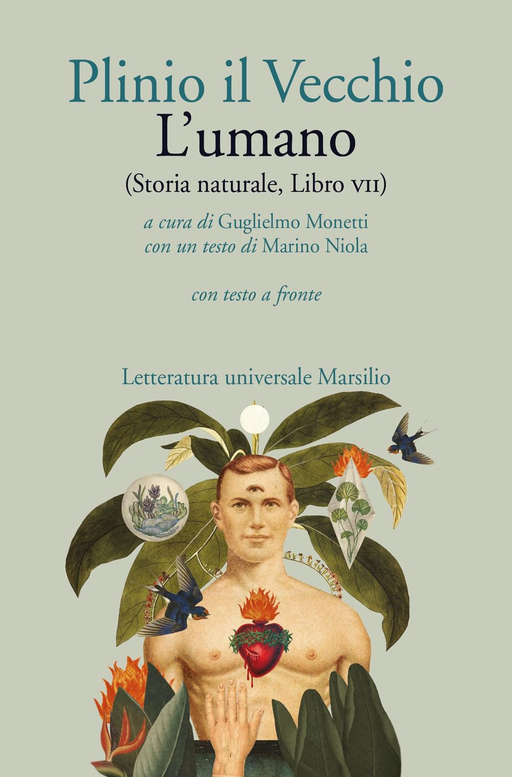 L'umano (Storia Naturale, Libro Vii). Con Testo Latino A Fronte - 4