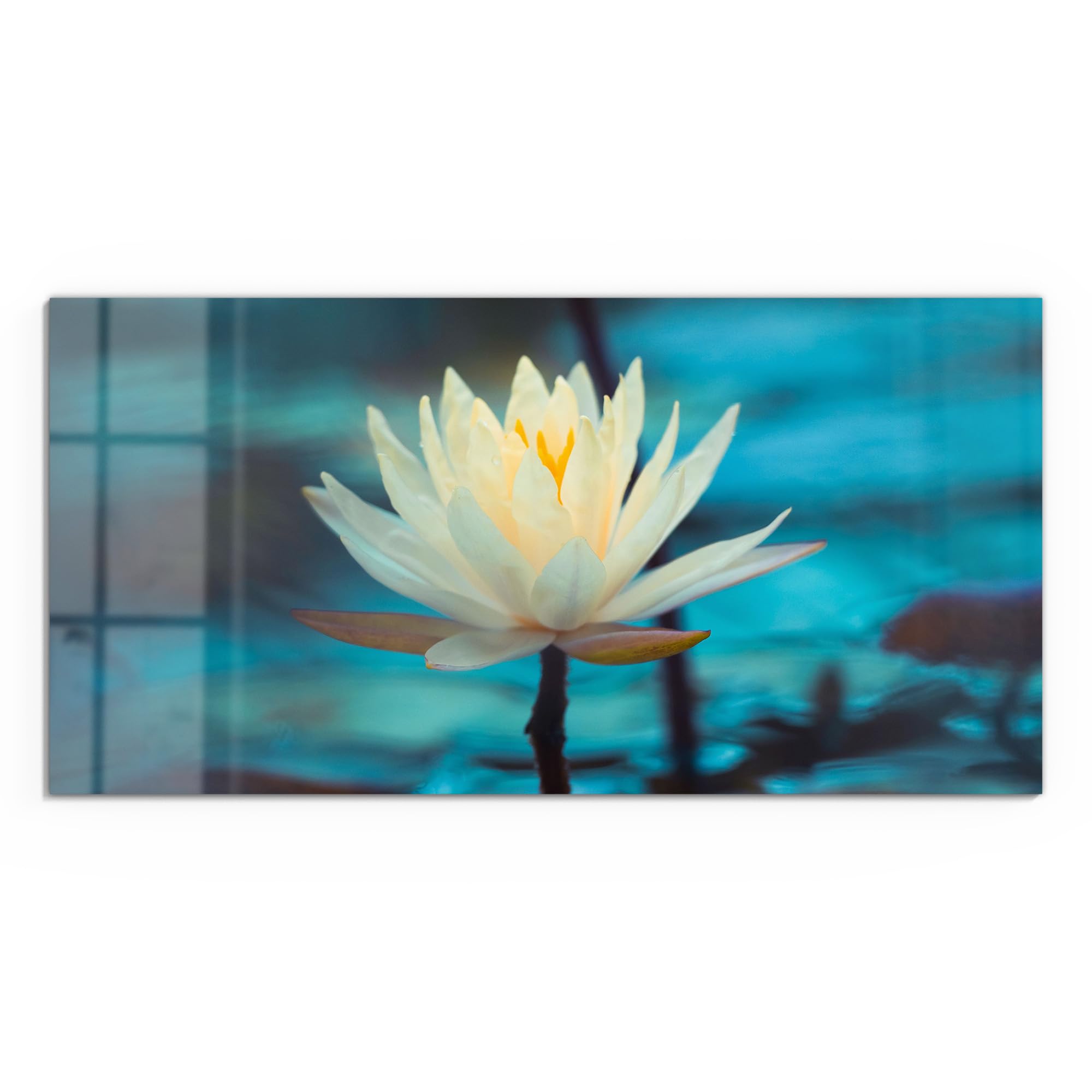 DEQORI Quadro in vetro vero | Motivo ninfee serenità | orizzontale unico pezzo 100 x 50 cm | bella decorazione da parete per soggiorno, camera da letto, corridoio e cucina | moderna decorazione da