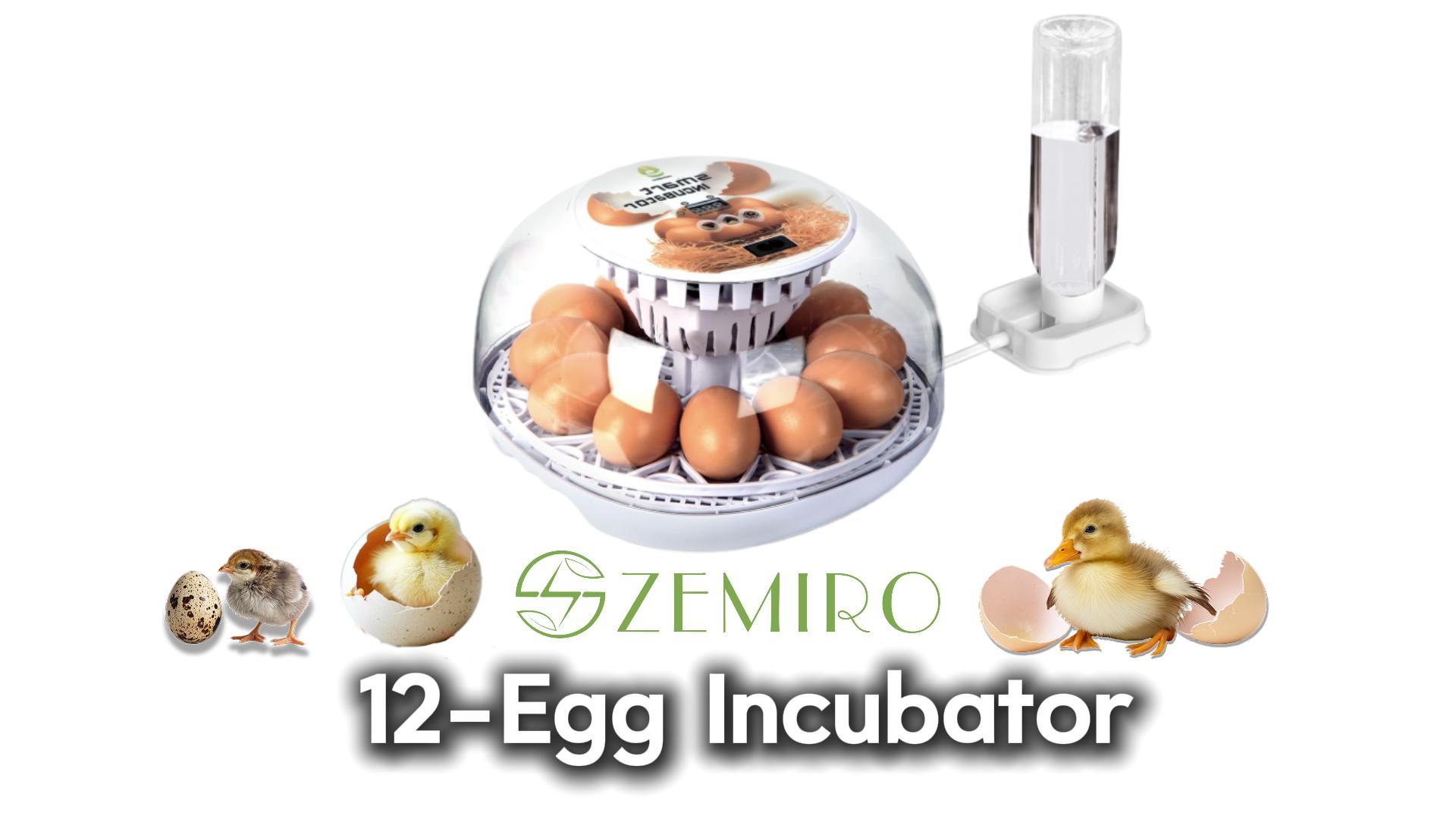 Amazon.com: Series I - 12 Egg Incubator for Beginners, Auto Egg
