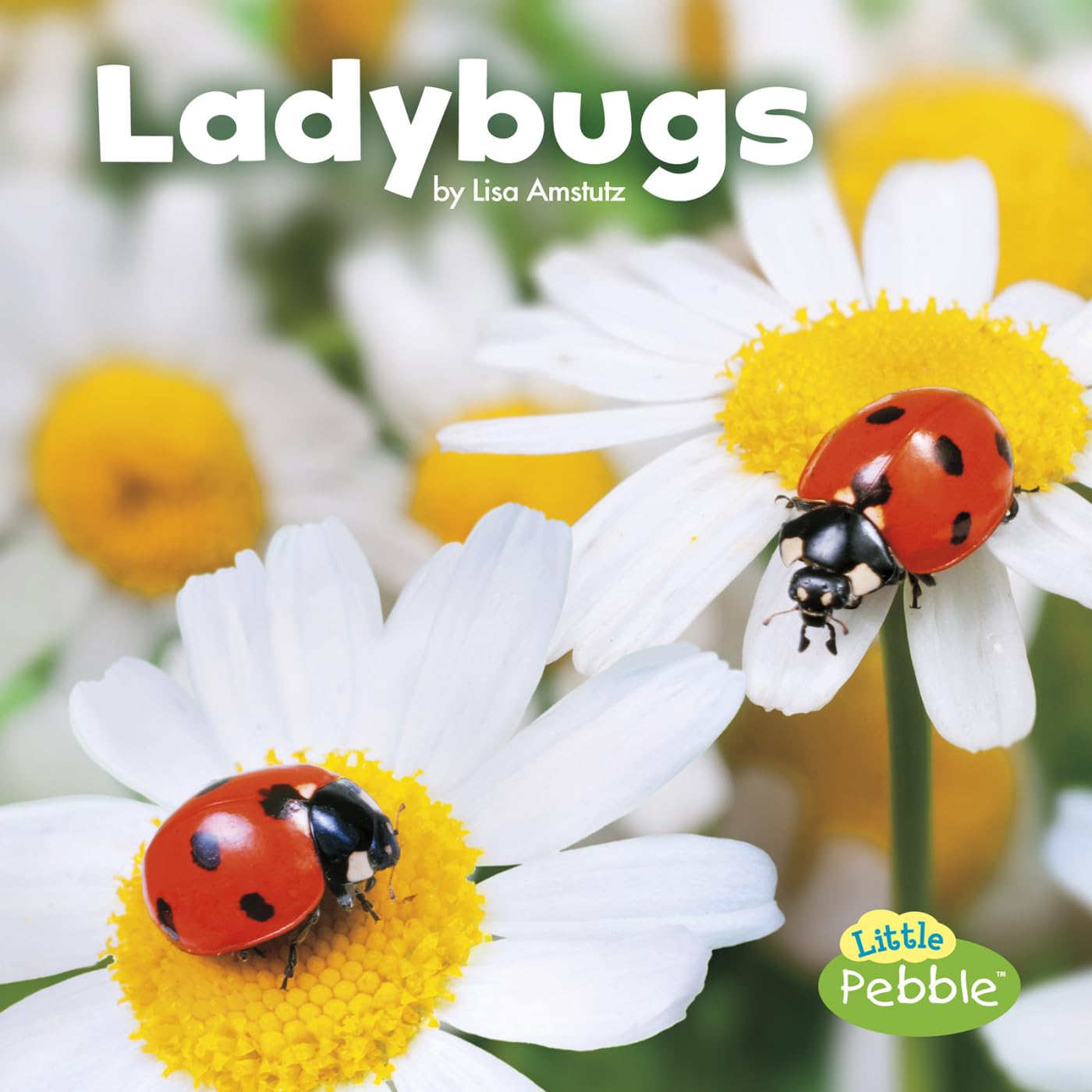 Ladybugs (Little Pebble: Little Critters)