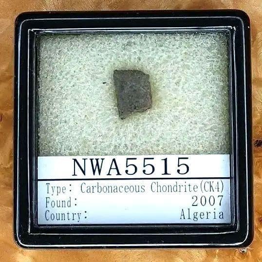 あひる 珍しい希少隕石 カルーンダ タイプ NWA5515 隕石 標本 珍しい