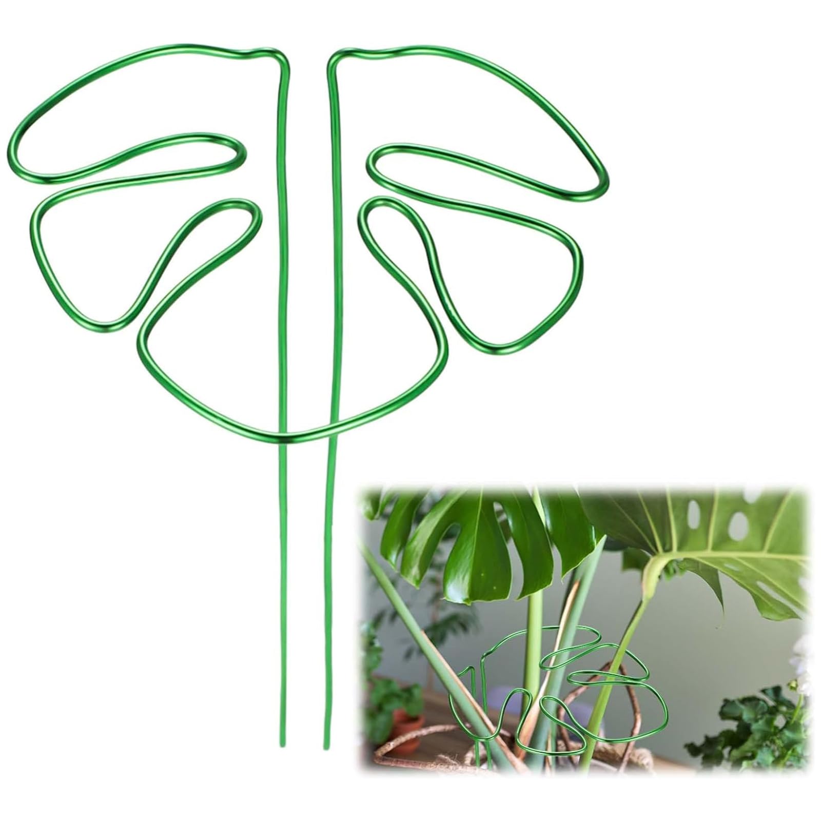 Amazon | 園芸支柱 モンステラ 15×28cm 観葉植物 植物サポート 植物茎