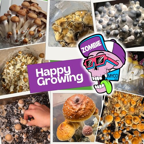 All‑in‑One Mushroom Grow Bag Kit – Sterilized Grain & CVG Substrate with Self‑Healing Injection Port – Beginner‑Friendly Mushroom Growing Kit to Grow Mushrooms at Home, 5 lb Mega Bag (3 Bags) - Thumbnail 5