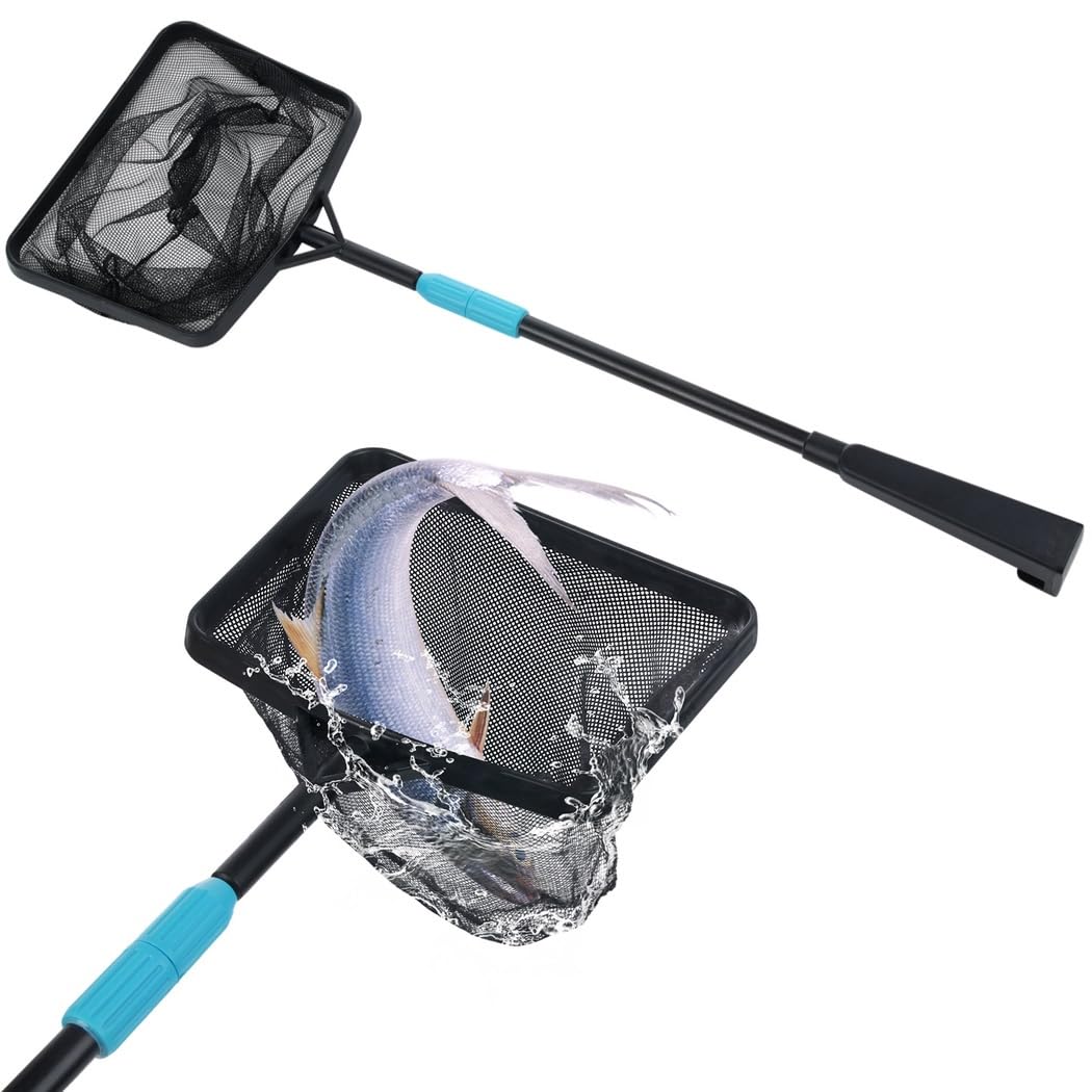 Épuisette de piscine avec sac, manche en acier inoxydable pour nettoyage de bassin et piscine