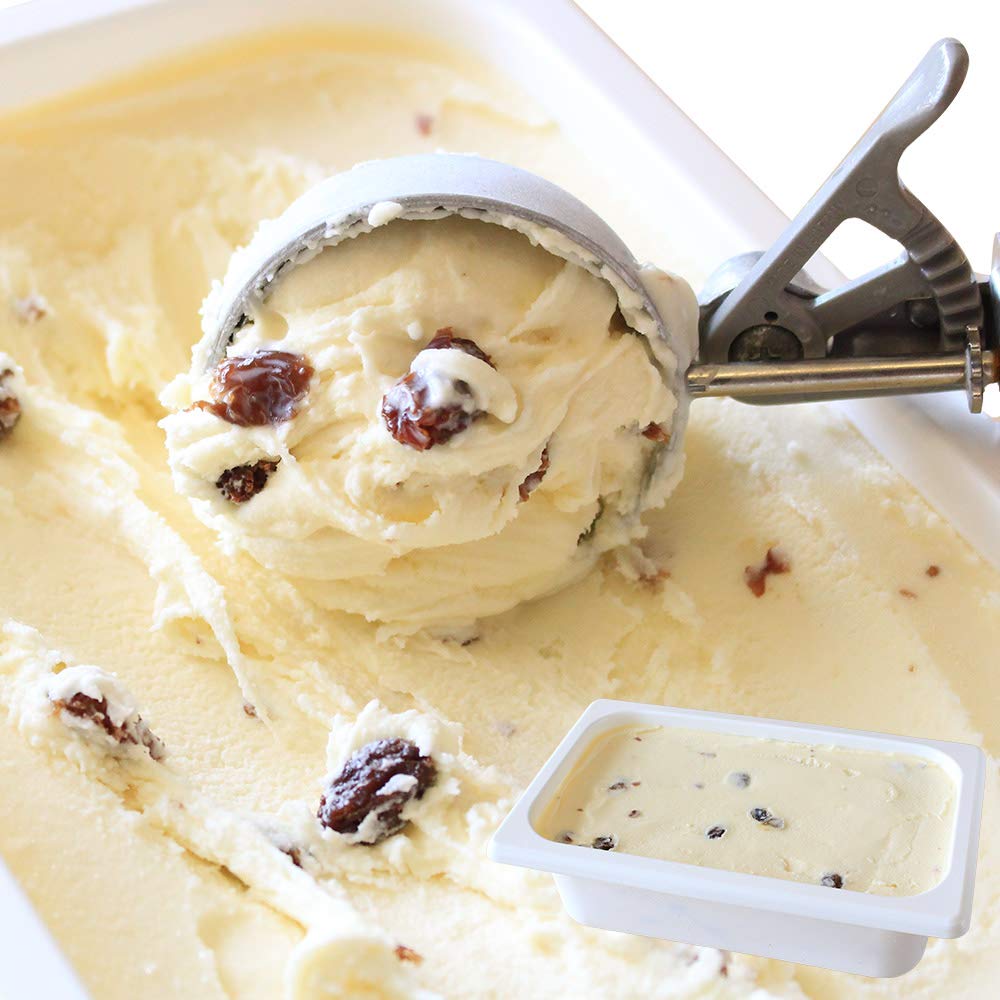 北国からの贈り物 アイスクリーム 業務用 ラムレーズン 北海道 くりーむ童話 手づくり アイス