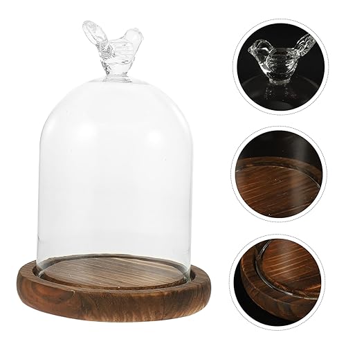 Miniatura 3 de Tarro de campana de cristal Cloche cubierta de pastel de vidrio con base de madera, vitrina decorativa de mesa para plantas, flores, suculentas,