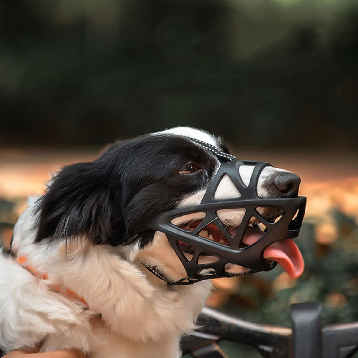 POPETPOP 3 Piezas Bozal Boca Máscara para Mascotas del Perro - Máscara De Ladrido del Perro Máscara De Perro - Máscara De Ladrido