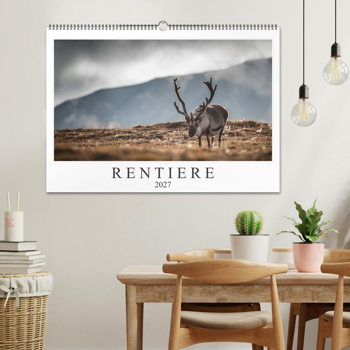 CALVENDO - Rentiere (Wandkalender 2027 DIN A2 quer), Monatskalender: Rentiere aus Nordnorwegen & Spitzbergen