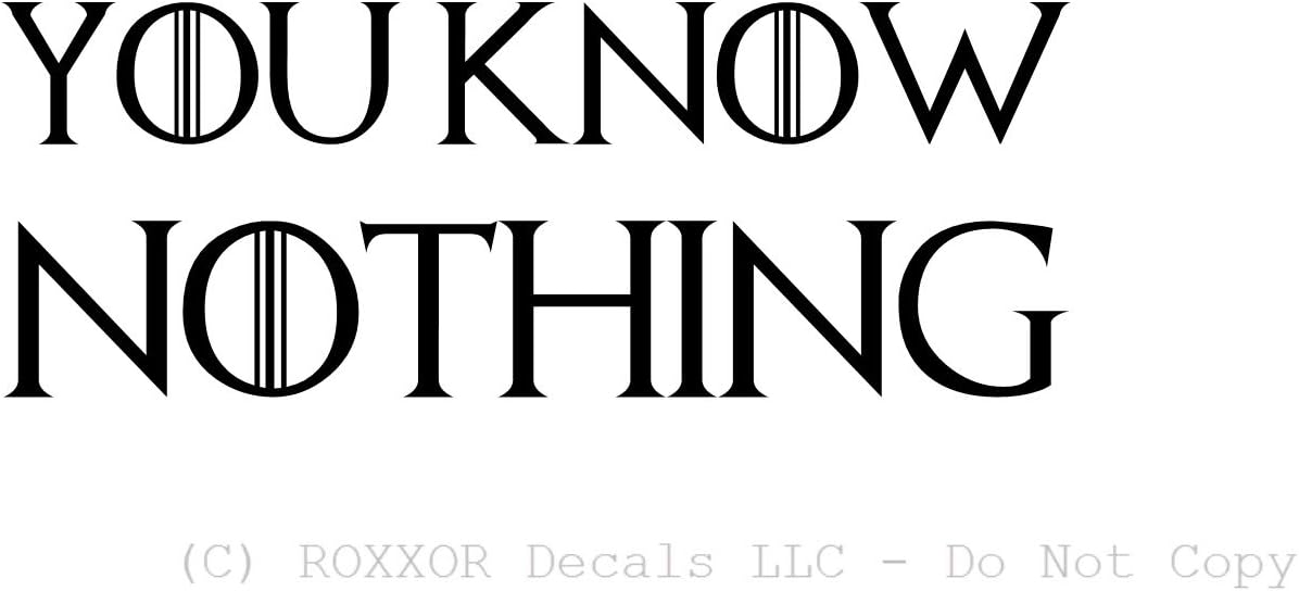 ROXXOR Decals You Know Nothing - Funny! - Precision-Cut Vinyl Decal/Sticker (not Printed) (Black)
