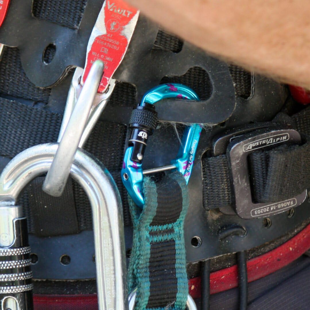 Omega Pacific Micro Raider - Tornillo de aluminio cautivo - Nuestro mosquetón superior se ha reducido para crear el conector de accesorios definitivo