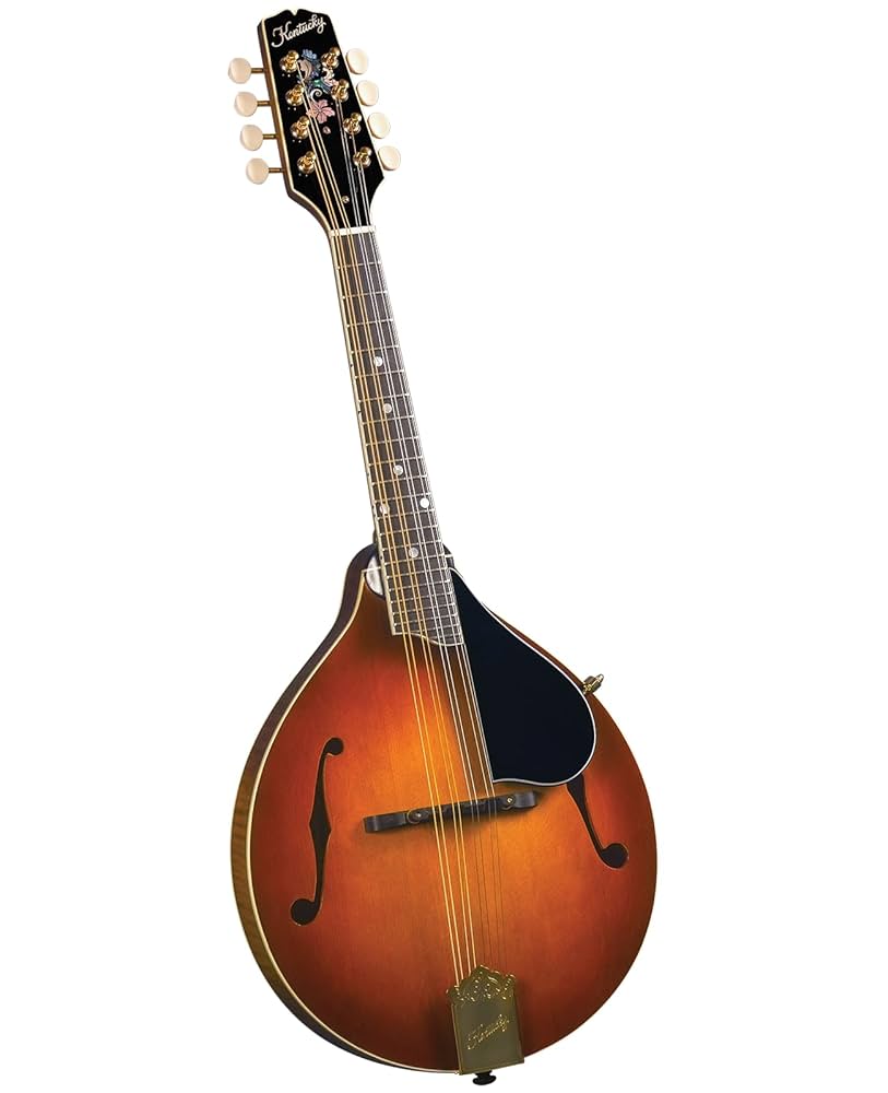 Geordie Mandoliniさん専用 Kentucky KM-508 Gold Top Mandolin - Folkmusician