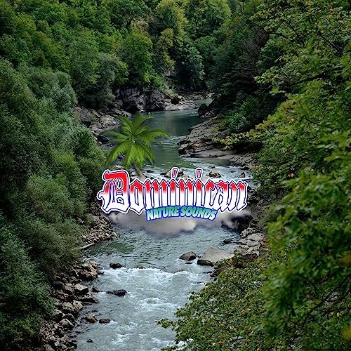 Rainforest Reverie: Ethereal Soundscapes for Mindfulness and Escaping