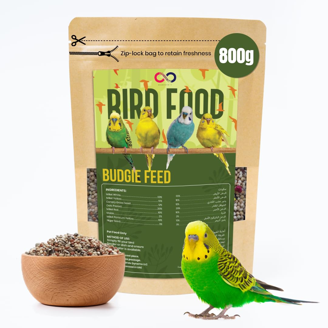 Brandsfinity 800g Premium Bird Feed for Budgies and Shell Parakeets – Nutrient-Rich Bird Food Blend with Essential Seeds for Vibrant Plumage and Energy