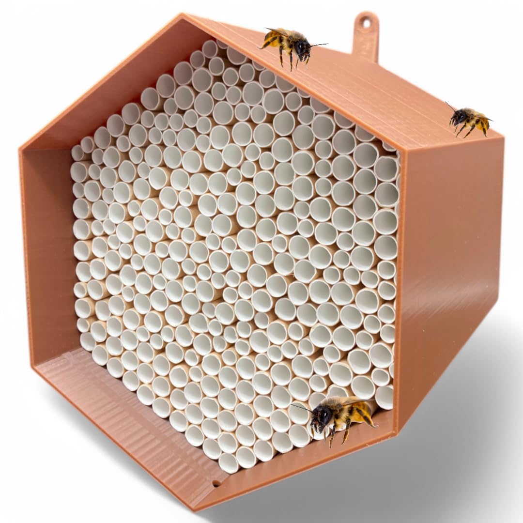 Wildbijen-nesthulp, absoluut duurzaam en weerbestendig, insectenhotel met 600 nesthulzen. Hoogwaardig wildbijenhotel voor tuinliefhebbers (geel, bijenhotel met vogelbeschermingsafdekking