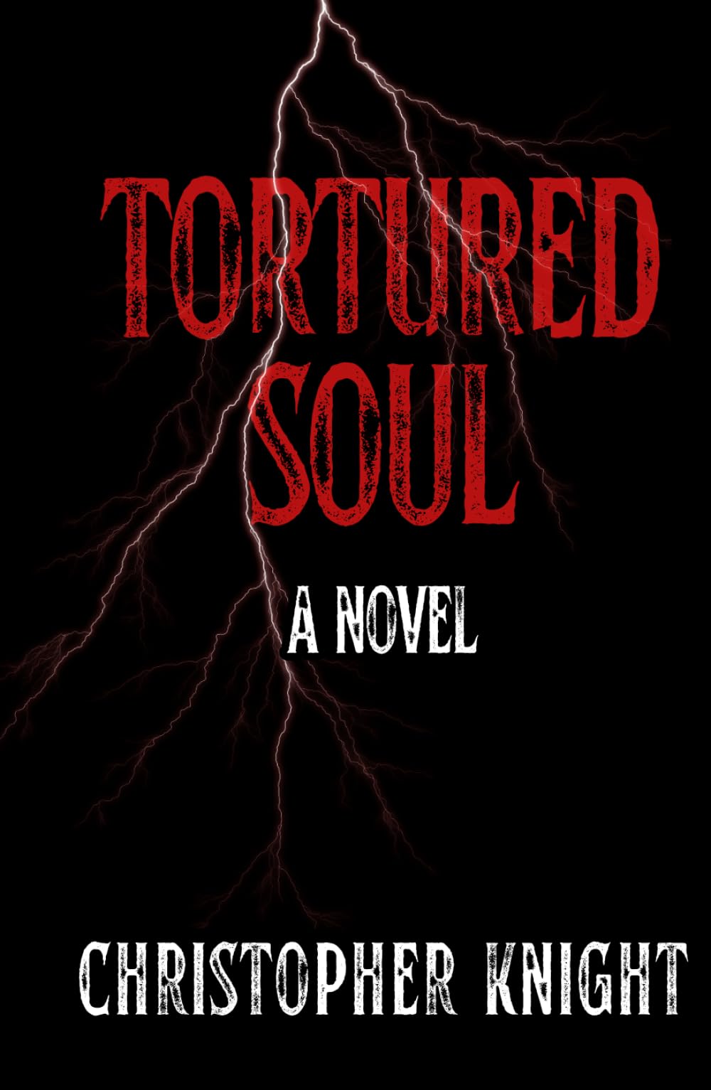 Tortured Soul: a novel