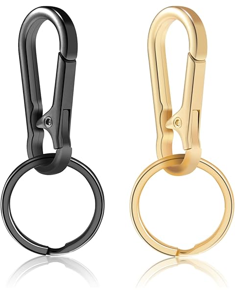 2pcs Metal Keychain Rings, Key Chain Ring Carabiner Clip, Key Holder Organizer for ...