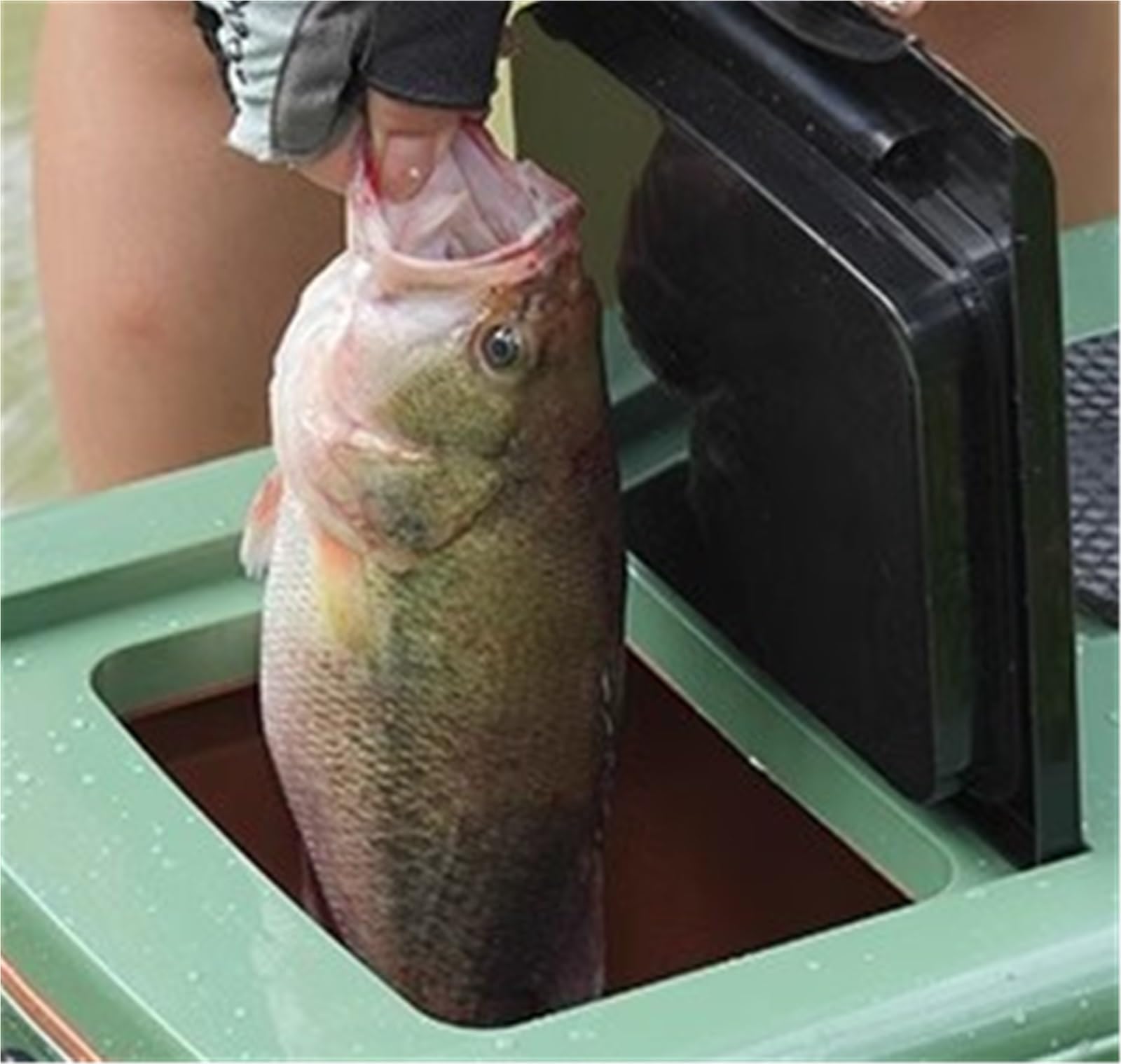 Cassetta da Pesca Organizzatore Cassetta Portautensili Portatile for La Pesca, Attrezzatura da Pesca in Plastica Multifunzionale con Schienale Valigetta da Pesca Multifunzionale