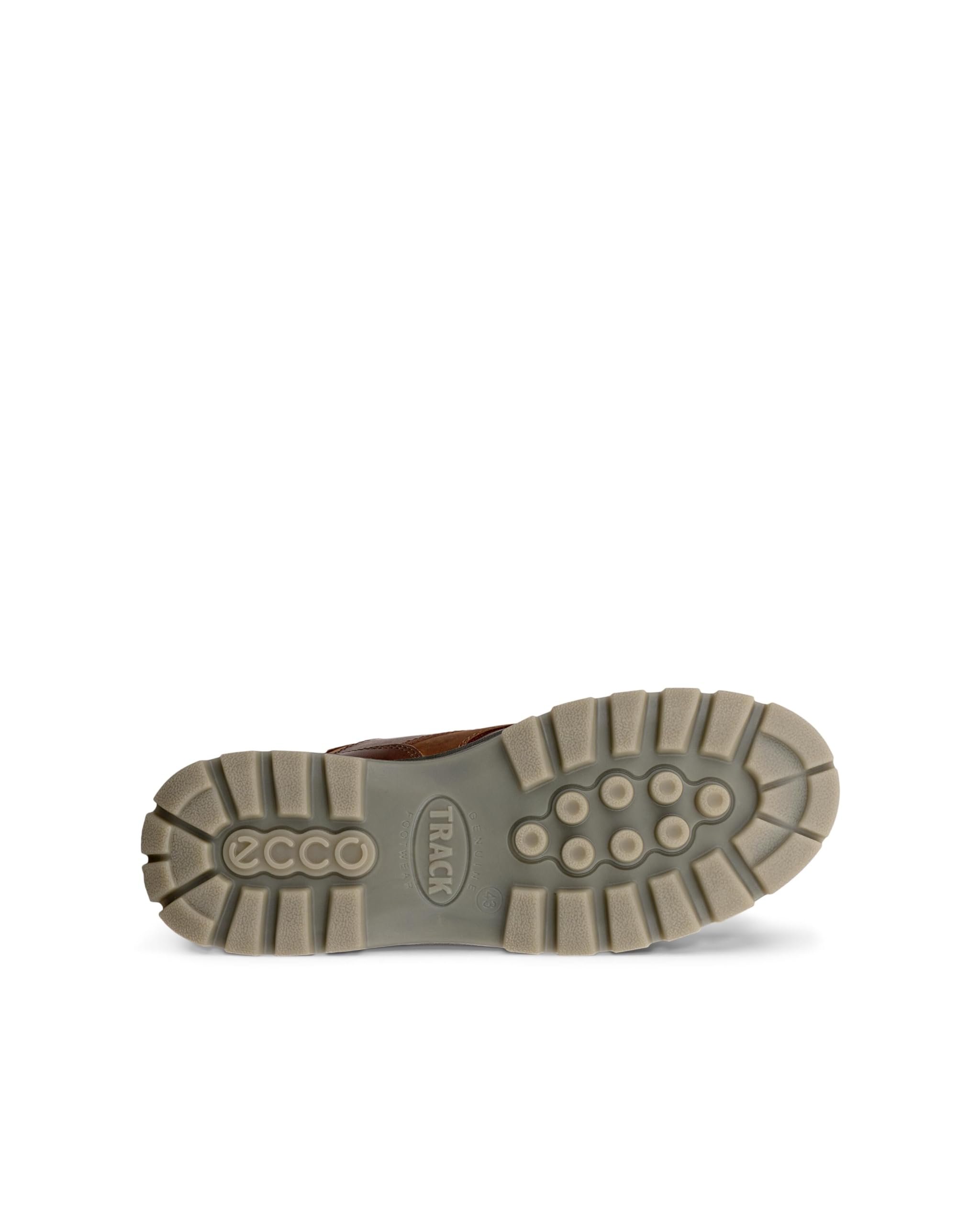 ECCO Męskie Buty Trekkingowe Track 25 M, Bison/Bison, 44 EU